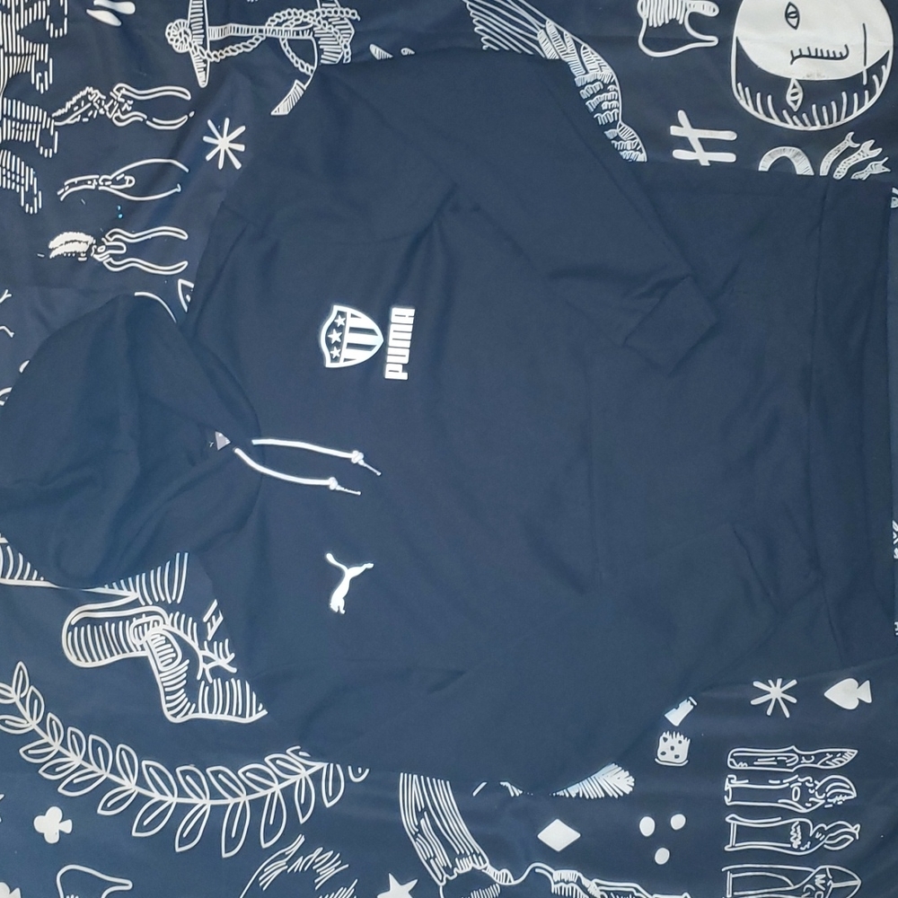 Puma mens hoodie
